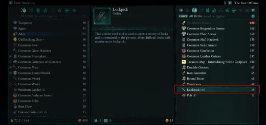 More Lockpicks v1.0